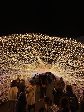 東京メガイルミに投稿された画像（2020/12/19）