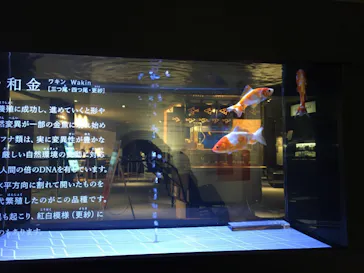 すみだ水族館に投稿された画像（2020/12/19）