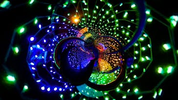 東京メガイルミに投稿された画像（2020/12/19）