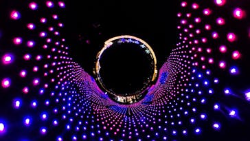 東京メガイルミに投稿された画像（2020/12/19）