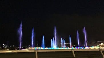 東京メガイルミに投稿された画像（2020/12/19）