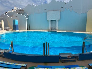 株式会社Gに投稿された画像（2020/12/19）