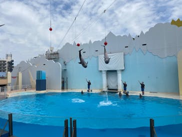 株式会社Gに投稿された画像（2020/12/19）