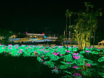 美らヤシパークオキナワ・東南植物楽園に投稿された画像（2020/12/19）