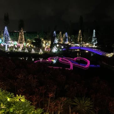 美らヤシパークオキナワ・東南植物楽園に投稿された画像（2020/12/19）
