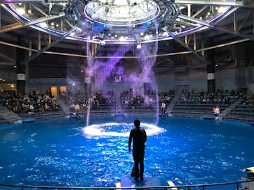 マクセル アクアパーク品川に投稿された画像（2020/12/19）