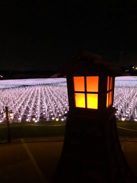 東京メガイルミに投稿された画像（2020/12/19）