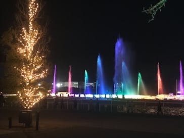 東京メガイルミに投稿された画像（2020/12/19）