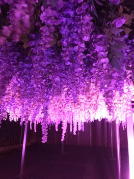 東京メガイルミに投稿された画像（2020/12/19）