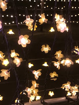 東京メガイルミに投稿された画像（2020/12/19）