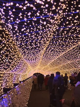 東京メガイルミに投稿された画像（2020/12/19）