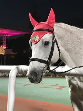 東京メガイルミに投稿された画像（2020/12/19）