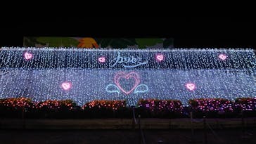 東武動物公園に投稿された画像（2020/12/19）