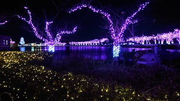 東武動物公園に投稿された画像（2020/12/19）