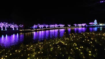 東武動物公園に投稿された画像（2020/12/19）