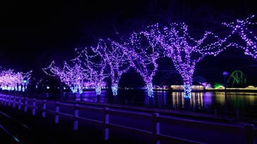 東武動物公園に投稿された画像（2020/12/19）