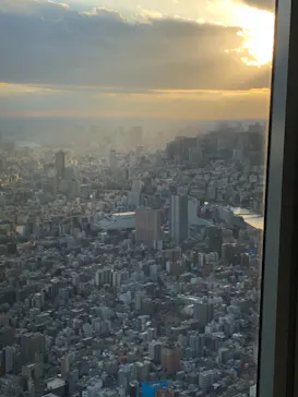 東京スカイツリーに投稿された画像（2020/12/19）