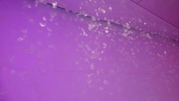 アクアワールド茨城県大洗水族館に投稿された画像（2020/12/19）