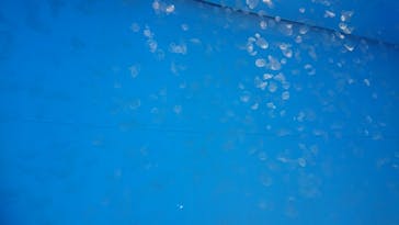 アクアワールド茨城県大洗水族館に投稿された画像（2020/12/19）