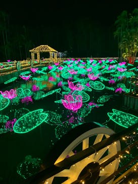 美らヤシパークオキナワ・東南植物楽園に投稿された画像（2020/12/19）