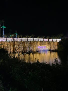 美らヤシパークオキナワ・東南植物楽園に投稿された画像（2020/12/19）