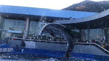 大分マリーンパレス水族館 「うみたまご」に投稿された画像（2020/12/19）