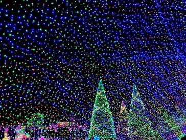 よみうりランド 遊園地に投稿された画像（2020/12/20）