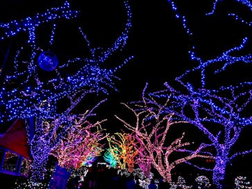 よみうりランド 遊園地に投稿された画像（2020/12/20）