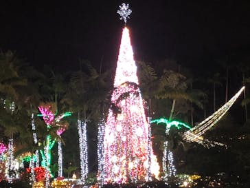 美らヤシパークオキナワ・東南植物楽園に投稿された画像（2020/12/20）