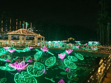 美らヤシパークオキナワ・東南植物楽園に投稿された画像（2020/12/20）