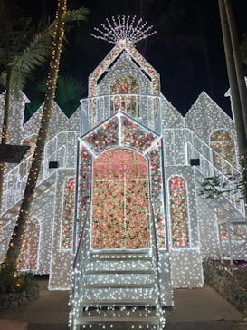 美らヤシパークオキナワ・東南植物楽園に投稿された画像（2020/12/20）