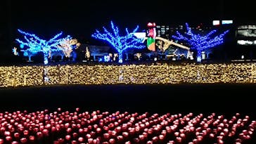 東京メガイルミに投稿された画像（2020/12/20）