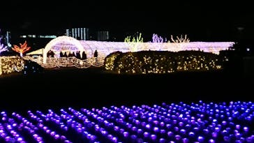 東京メガイルミに投稿された画像（2020/12/20）