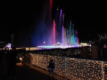 東京メガイルミに投稿された画像（2020/12/20）