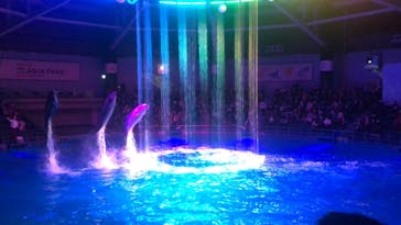 マクセル アクアパーク品川に投稿された画像（2020/12/20）