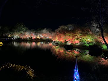 なばなの里に投稿された画像（2020/12/20）