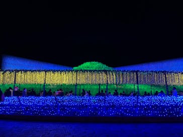 なばなの里に投稿された画像（2020/12/20）