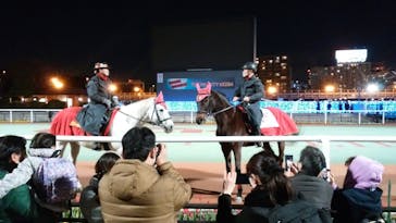 東京メガイルミに投稿された画像（2020/12/20）