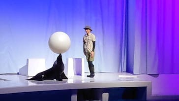 アクアワールド茨城県大洗水族館に投稿された画像（2020/12/20）