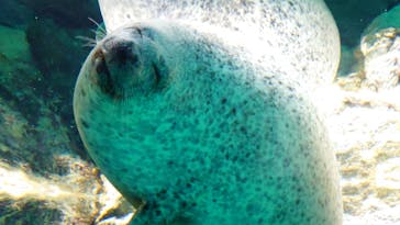 アクアワールド茨城県大洗水族館に投稿された画像（2020/12/20）
