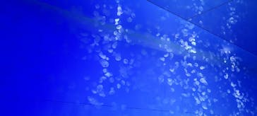 アクアワールド茨城県大洗水族館に投稿された画像（2020/12/20）