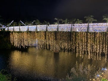 美らヤシパークオキナワ・東南植物楽園に投稿された画像（2020/12/20）