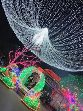 美らヤシパークオキナワ・東南植物楽園に投稿された画像（2020/12/20）