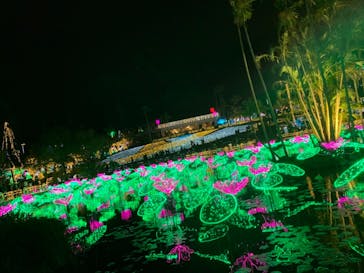 美らヤシパークオキナワ・東南植物楽園に投稿された画像（2020/12/20）