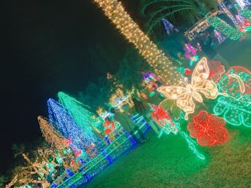 美らヤシパークオキナワ・東南植物楽園に投稿された画像（2020/12/20）