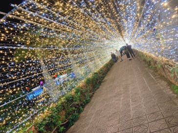 美らヤシパークオキナワ・東南植物楽園に投稿された画像（2020/12/20）