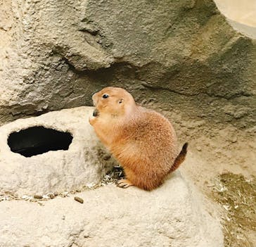 神戸どうぶつ王国に投稿された画像（2020/12/20）