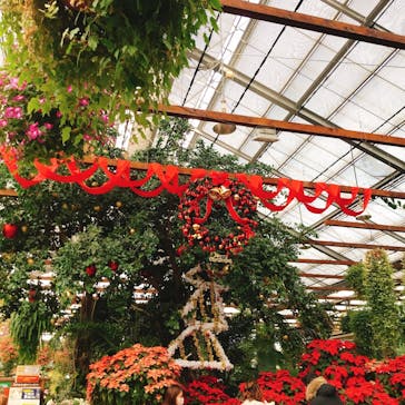 神戸どうぶつ王国に投稿された画像（2020/12/20）