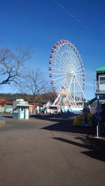 日本モンキーパークに投稿された画像（2020/12/20）