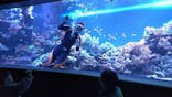 サンシャイン水族館に投稿された画像（2020/12/20）